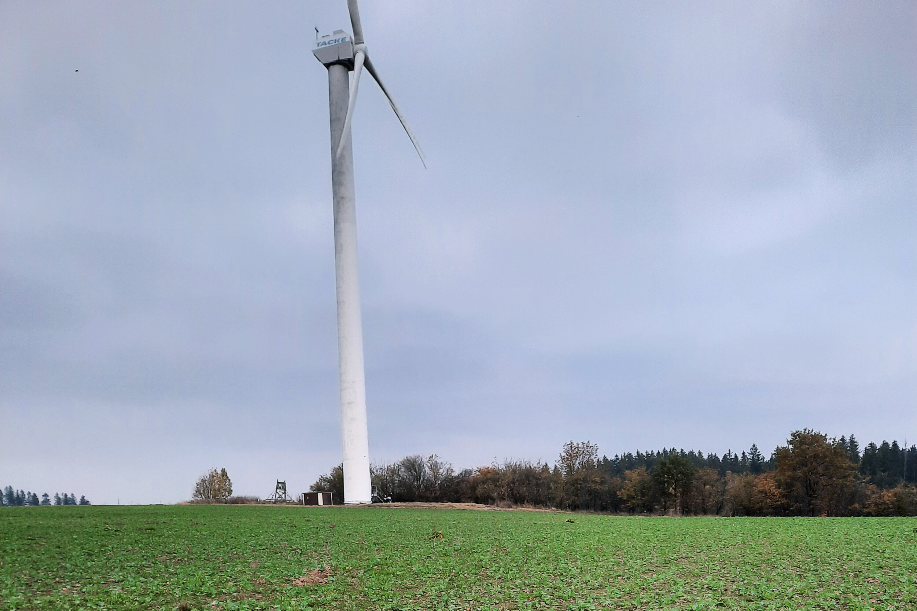 Landwirtschaftliche Fläche zum Kauf 2,80 € 10.200 m²<br/>Fläche 10.200 m²<br/>Grundstück Olbernhau Olbernhau 09526