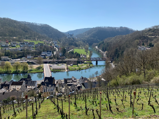 Grundstück zum Kauf 230.000 € 2.593 m² Grundstück Obernhof 56379