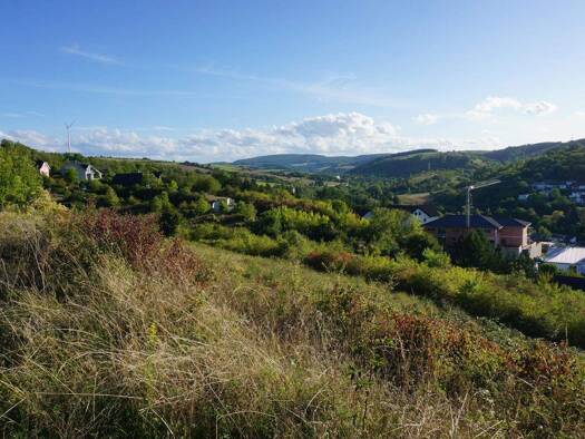 Grundstück zum Kauf 97.000 € 776 m² Grundstück frei ab sofort Alsenz 67821