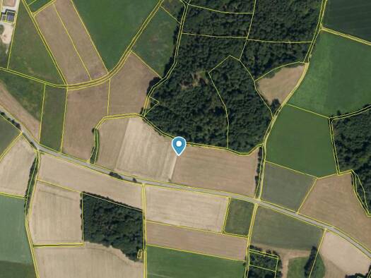 Land-/Forstwirtschaft zum Kauf 181.734 € 27.959 m² Grundstück Witzenzell Falkenstein 93167
