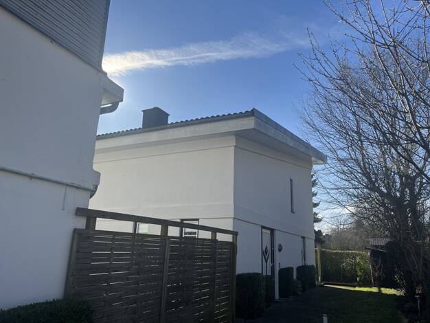 Einfamilienhaus zur Miete 1.500 € 2,5 Zimmer 196 m² 682 m² Grundstück Mads-Clausen-Straße 5a Nordstadt Flensburg 24939