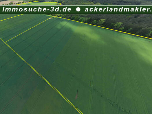 Land-/Forstwirtschaft zum Kauf 1.750.000 € 810.813 m² Grundstück Friedländer Landstraße Anklam Anklam 17389