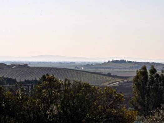 Bauernhaus zum Kauf 550.000 € 8 Zimmer 175 m² 100.000 m² Grundstück Castiglione della Pescaia 58043