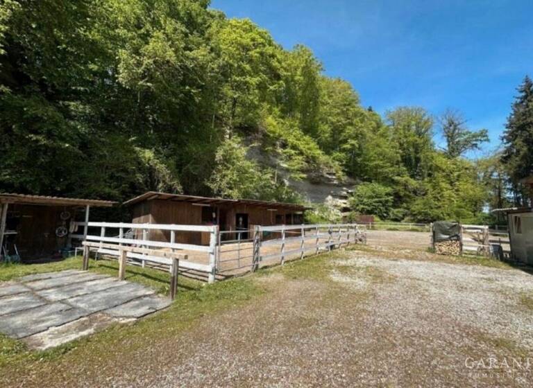 Einfamilienhaus zum Kauf 995.000 € 7 Zimmer 220 m²<br/>Wohnfläche 9.238 m²<br/>Grundstück Niederheining Laufen 83410