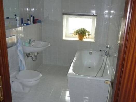 Studio zur Miete 250 € 1 Zimmer 36 m² 3. Geschoss frei ab sofort Thomasiusstr. 32 Innenstadt Halle (Saale) 06110