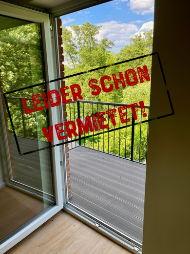 Wohnung zur Miete 1.100 € 3 Zimmer 103 m² 2. Geschoss frei ab sofort Bad Bevensen Bad Bevensen 29549