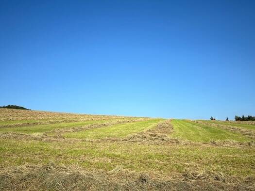 Land-/Forstwirtschaft zum Kauf 55.000 € 22.739 m² Grundstück Schwelentrup Dörentrup 32694