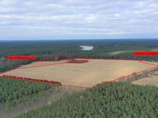 Landwirtschaftliche Fläche zum Kauf 1.195.000 € 380.000 m² Grundstück Heinrichsdorf Rheinsberg 16831