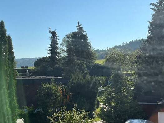 Einfamilienhaus zur Miete 1.400 € 5 Zimmer 116 m² 461 m² Grundstück frei ab 31.12.2025 Wildberg 72218