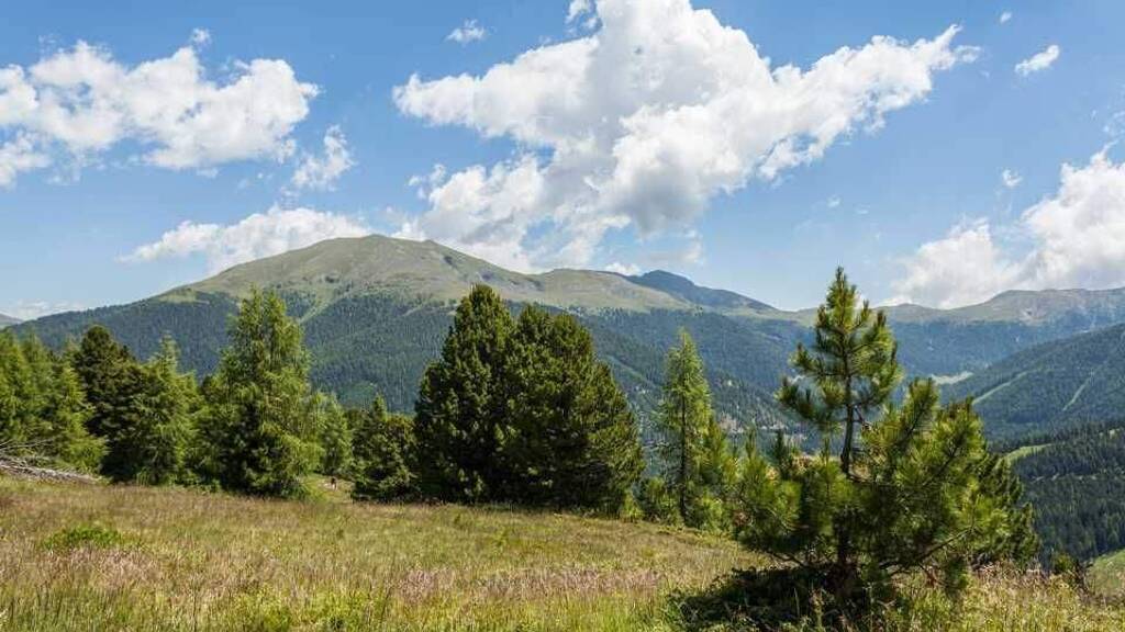 Grundstück zum Kauf 395.000 € 444 m² Grundstück Turracherhöhe 8864