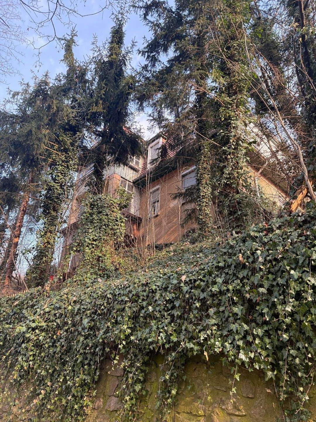 Immobilie in Meißen - Sanierungsbedürftiges Zweifamilienhaus in ruhiger und grüner Lage von Meißen - Bild 1