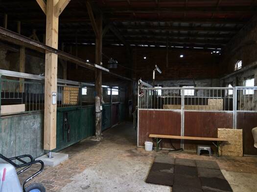 Einfamilienhaus zum Kauf 270.000 € 6 Zimmer 140 m² 9.623 m² Grundstück Hoyersdorf Südliches Anhalt 06779