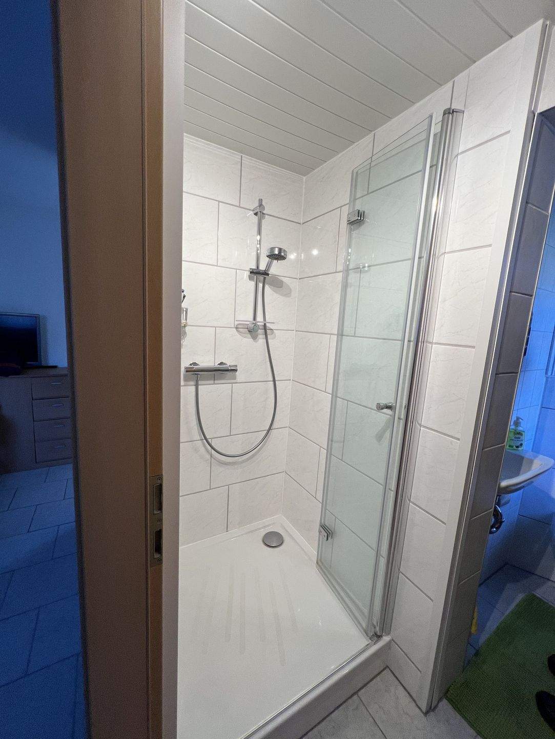 Immobilie in Ilmenau - Garten mit hochwertigem Gartenhaus - Eigentumsland - Bild 4