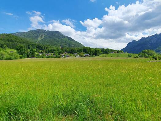 Grundstück zum Kauf 859.000 € 1.126 m² Grundstück Großgmain 5084