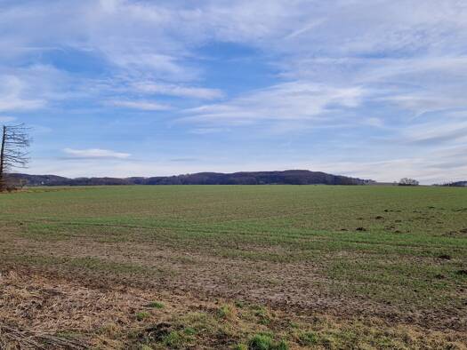 Grundstück zum Kauf provisionsfrei 151.800 € 759 m² Grundstück Im Witthausfeld Vlotho 32602