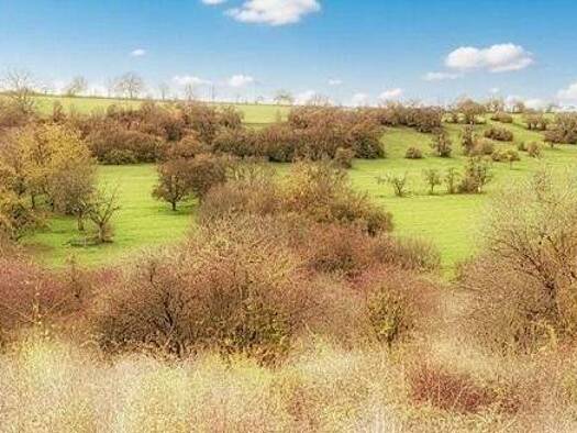 Grundstück zum Kauf 45.000 € 993 m² Grundstück Loutzviller 57720