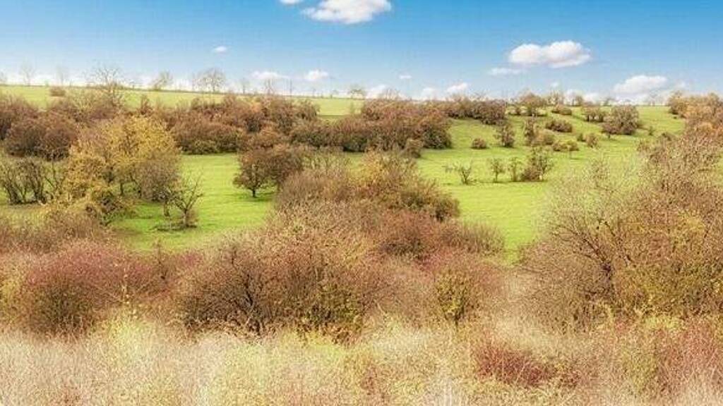 Grundstück zum Kauf 45.000 € 993 m² Grundstück Loutzviller 57720