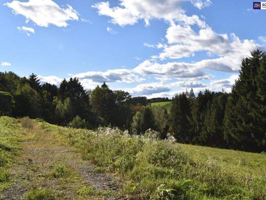 Grundstück zum Kauf 246.400 € 880 m² Grundstück Kainbach bei Graz 8301