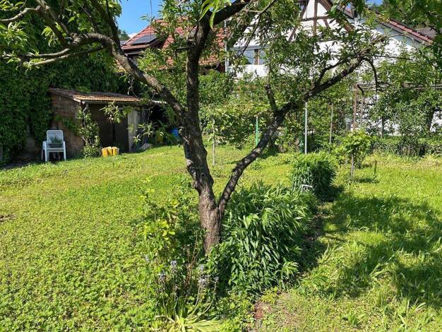 Grundstück zum Kauf provisionsfrei 300.000 € 500 m² Grundstück Klosterstr. 6 Wyhlen Grenzach-Wyhlen 79639