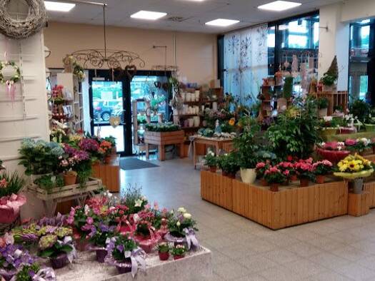 Verkaufsfläche zur Miete provisionsfrei 47 m² Verkaufsfläche Mecklenburger Straße 1-3 Lauenburg/Elbe 21481