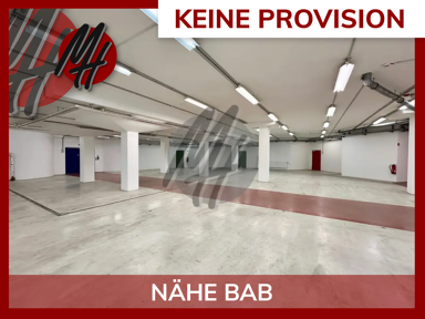 Halle/Industriefläche zur Miete provisionsfrei 4,95 € 1.200 m² Lagerfläche Mörfelden Mörfelden-Walldorf 64546