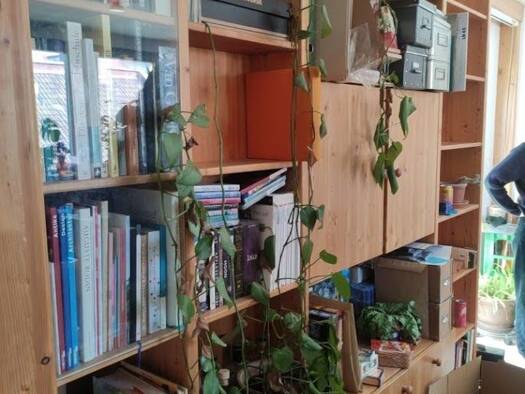 Wohnung zur Miete 580 € 1 Zimmer 34 m² Geschoss 1/2 frei ab 01.06.2026 Waldstraße 16 Innenstadt Erlangen 91054