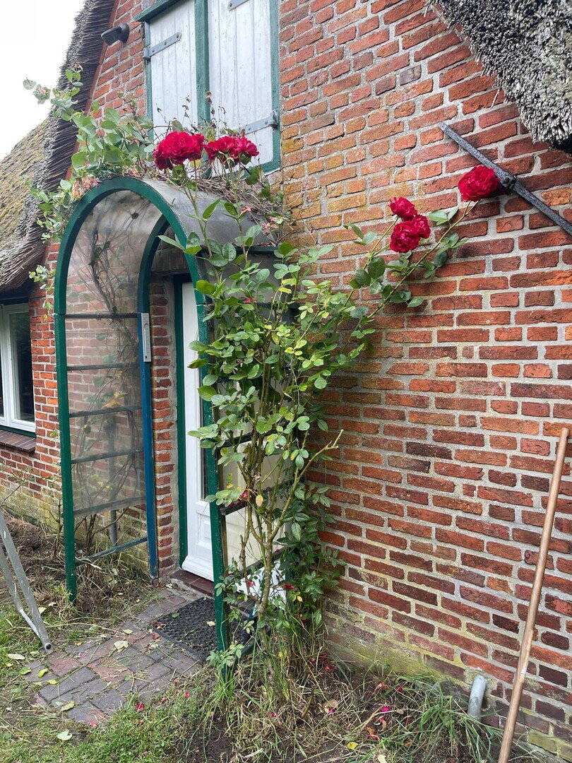 Haus – Sankt Peter-Ording, Nordfriesland - Ansicht 5