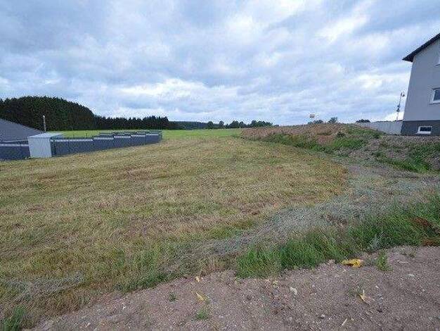 Grundstück zum Kauf 68.000 € 852 m² Grundstück Damflos 54413