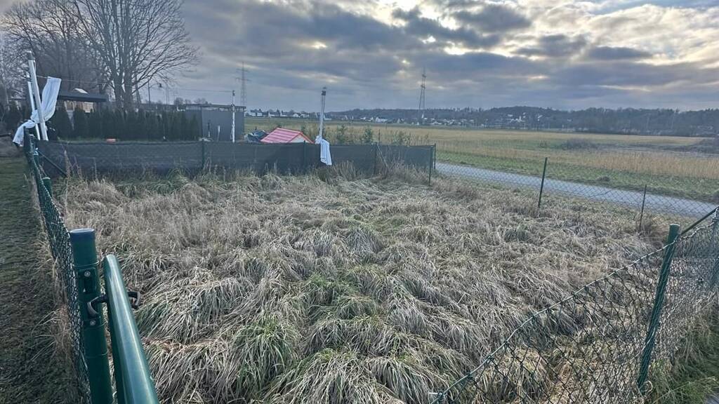 Sonstiges zur Miete provisionsfrei 50 € 53,5 m² Grundstück Elmer-Fryar-Ring 2B Stadtbergen 86391