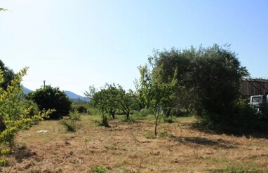 Land-/Forstwirtschaft zum Kauf 80.000 € 737 m² Grundstück Thassos