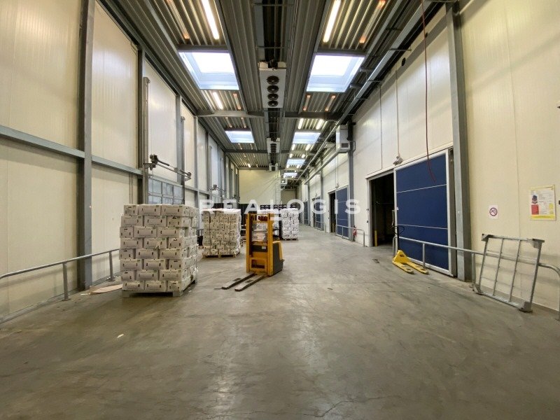 Halle/Industriefläche zur Miete 1.200 m²<br/>Lagerfläche ab 1.100 m²<br/>Teilbarkeit Hafengebiet Neuss 41460