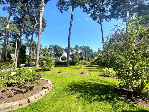 Einfamilienhaus zum Kauf provisionsfrei 299.000 € 3 Zimmer 61,6 m² 705 m² Grundstück Wildau 15745