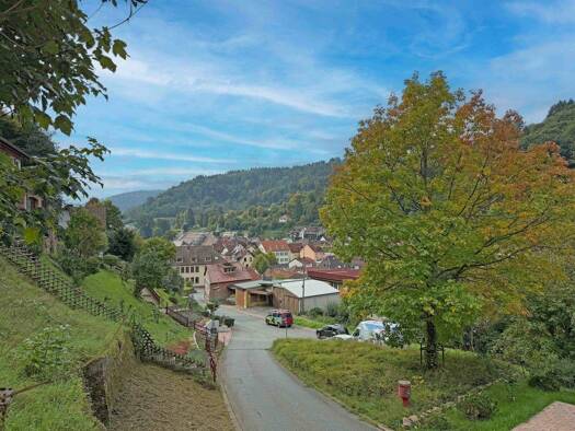 Grundstück zum Kauf 98.000 € 770 m² Grundstück Schönau Schönau 69250