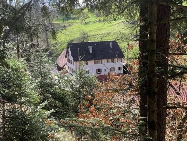 Land-/Forstwirtschaft zum Kauf provisionsfrei Effringen Wildberg 72218