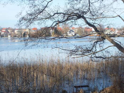 Grundstück zum Kauf als Kapitalanlage geeignet 106.780 € 562 m² Grundstück Zehdenicker Straße 27 Fürstenberg/Havel Fürstenberg/Havel 16798