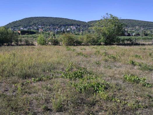 Grundstück zum Kauf 222.000 € 1.314 m² Grundstück utca Csopak 8229