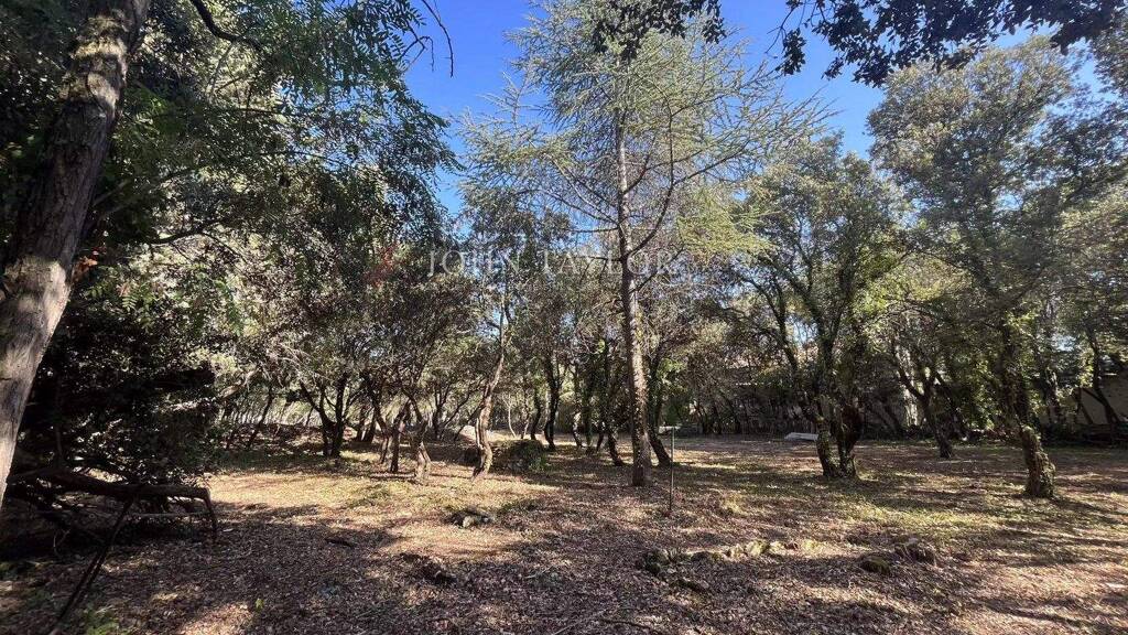 Grundstück zum Kauf provisionsfrei 340.000 € 1.200 m² Grundstück Cabrières-d'Avignon 84220