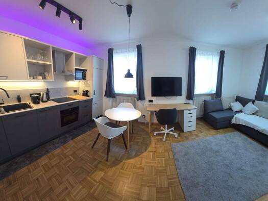 Wohnung zur Miete 650 € 30 m² Geschoss 2/3 frei ab sofort Altenburger Straße 1 Bamberg 96049