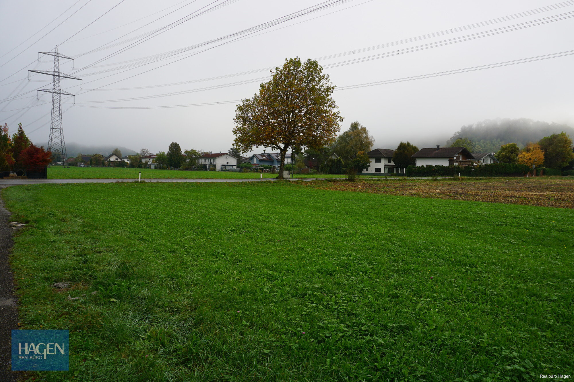 Grundstück zum Kauf 2.000 m²<br/>Grundstück Dürne Koblach 6842