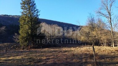 Land-/Forstwirtschaft zum Kauf 53.000 € Klana center 51217