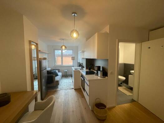 Wohnung zur Miete 790 € 1 Zimmer 24 m² frei ab 01.11.2026 Schnieglinger Straße 57 St Johannis Nürnberg 90419