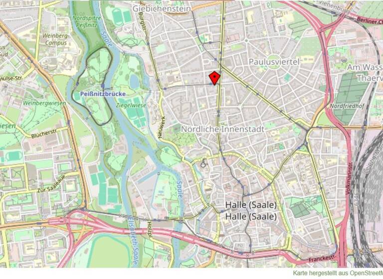 Mehrfamilienhaus zum Kauf als Kapitalanlage geeignet 980.000 € 446 m² 274 m² Grundstück Mühlweg 36 Altstadt Halle (Saale) 06108