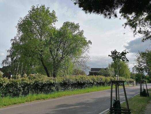 Doppelhaushälfte zum Kauf - Erstbezug provisionsfrei 371.450 € 4 Zimmer 115 m² 310 m² Grundstück frei ab 01.01.2027 Lindenberg Ahrensfelde 16356