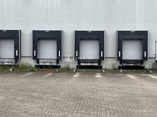 Lagerhalle zur Miete 4.350 m² Lagerfläche Horrem Kerpen 50169