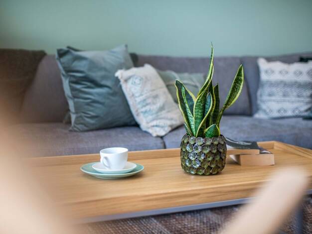 Haus zum Kauf 465.800 € 5 Zimmer 145 m² 330 m² Grundstück Ilmmünster Ilmmünster 85304