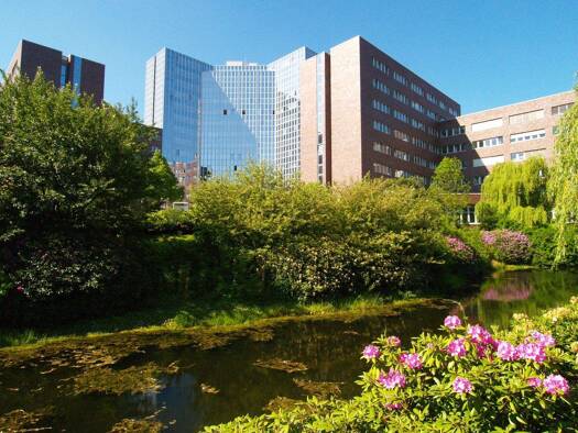 Bürofläche zur Miete 13,90 € 780 m² Bürofläche Barmbek-Süd Hamburg 22083