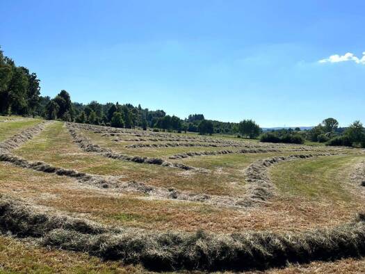 Landwirtschaftliche Fläche zum Kauf 280.000 € 36.100 m² Grundstück Grebenhain 36355