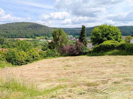 Grundstück zum Kauf provisionsfrei 189.000 € 1.149 m² Grundstück Höchst Höchst i. Odw. 64739