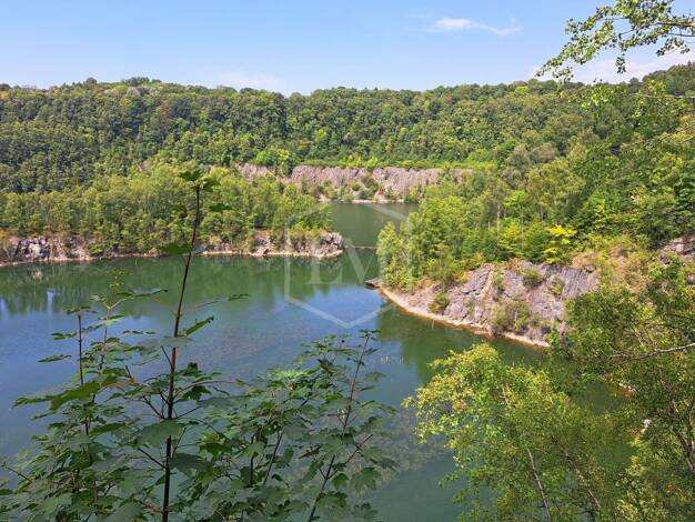 Jagdrevier zum Kauf 920.000 € 764.551 m² Grundstück Mettmann 40822