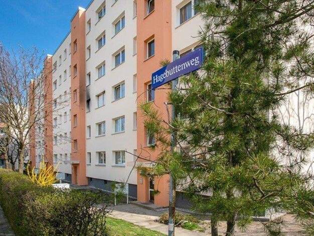 Wohnung zur Miete nur mit Wohnberechtigungsschein 499 € 3 Zimmer 64,3 m² 4. Geschoss frei ab 27.02.2026 Hagebuttenweg 8 Gorbitz-Nord/Neu-Omsewitz Dresden 01169